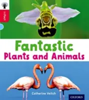Oxford Reading Tree inFact: Oxford Nivel 4: Plantas y animales fantásticos - Oxford Reading Tree inFact: Oxford Level 4: Fantastic Plants and Animals