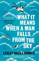 Qué significa cuando un hombre cae del cielo - Del ganador del Premio Caine de Literatura Africana 2019 - What It Means When A Man Falls From The Sky - From the Winner of the Caine Prize for African Writing 2019