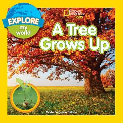 Explora mi mundo: Un árbol crece - Explore My World: A Tree Grows Up