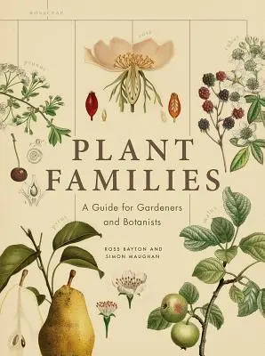 Familias de plantas: Guía para jardineros y botánicos - Plant Families: A Guide for Gardeners and Botanists