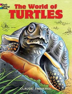 El mundo de las tortugas - The World of Turtles