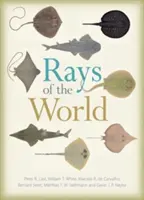 Rayos del mundo - Rays of the World