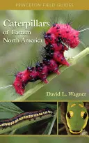 Orugas del este de Norteamérica: Guía de identificación e historia natural - Caterpillars of Eastern North America: A Guide to Identification and Natural History