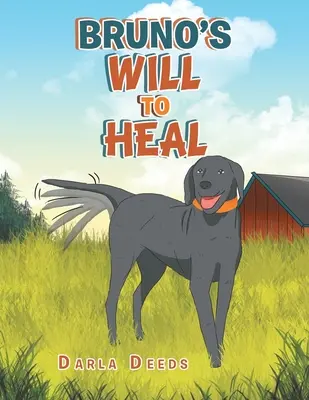 La voluntad de curar de Bruno - Bruno's Will to Heal