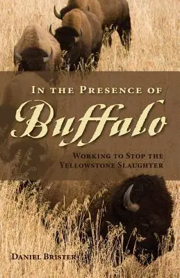 En presencia del búfalo: Trabajando para detener la matanza de Yellowstone - In the Presence of Buffalo: Working to Stop the Yellowstone Slaughter