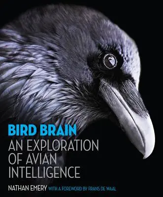 Cerebro de pájaro: Una exploración de la inteligencia aviar - Bird Brain: An Exploration of Avian Intelligence