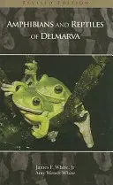 Anfibios y reptiles de Delmarva - Amphibians and Reptiles of Delmarva