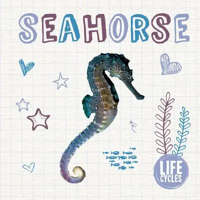 Caballito de mar - Seahorse