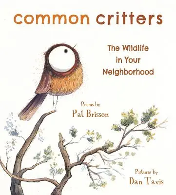 Common Critters: La fauna de tu barrio - Common Critters: The Wildlife in Your Neighborhood