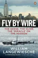 Fly By Wire - Los gansos, el planeo, el «milagro» en el Hudson - Fly By Wire - The Geese, The Glide, The 'Miracle' on the Hudson