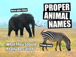 Nombres propios de animales - Cómo deberían llamarse realmente - Proper Animal Names - What They Should Really Be Called