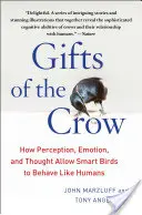 Los dones del cuervo: cómo la percepción, la emoción y el pensamiento permiten a las aves inteligentes comportarse como humanos - Gifts of the Crow: How Perception, Emotion, and Thought Allow Smart Birds to Behave Like Humans