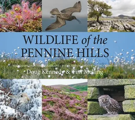 La fauna de los Peninos: Moorland: Caliza: Pastizales: Bosques: Pantanos: Brezal de tierras altas - Wildlife of the Pennine Hills: Moorland: Limestone: Grassland: Woodland: Blanket Bog: Upland Heath