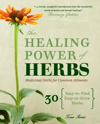 El poder curativo de las hierbas: Hierbas medicinales para dolencias comunes - The Healing Power of Herbs: Medicinal Herbs for Common Ailments