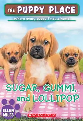 Azúcar, gominola y piruleta (El lugar de los cachorros #40), 40 - Sugar, Gummi and Lollipop (the Puppy Place #40), 40