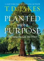 Plantados con un propósito: Dios convierte la presión en poder - Planted with a Purpose: God Turns Pressure Into Power