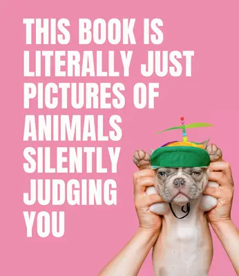 Este libro es literalmente sólo imágenes de animales juzgándote en silencio - This Book Is Literally Just Pictures of Animals Silently Judging You