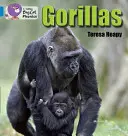 Gorilas - Gorillas