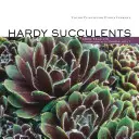 Suculentas resistentes: Plantas resistentes para todos los climas - Hardy Succulents: Tough Plants for Every Climate