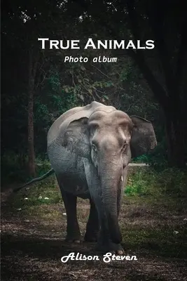 Animales reales: Álbum de fotos - True Animals: Photo album