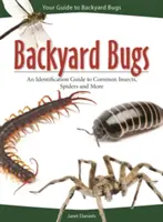 Bichos de jardín: Guía de identificación de insectos comunes, arañas y más - Backyard Bugs: An Identification Guide to Common Insects, Spiders, and More