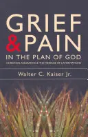 La pena y el dolor en el plan de Dios: La seguridad cristiana y el mensaje de Lamentaciones - Grief and Pain in the Plan of God: Christian Assurance and the Message of Lamentations