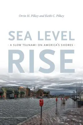 Aumento del nivel del mar: Un lento tsunami en las costas de Estados Unidos - Sea Level Rise: A Slow Tsunami on America's Shores