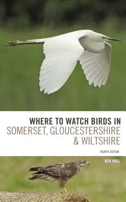 Dónde observar aves en Somerset, Gloucestershire y Wiltshire - Where to Watch Birds in Somerset, Gloucestershire and Wiltshire