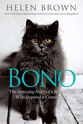 Bono: La asombrosa historia de un gato rescatado que inspiró a una comunidad - Bono: The Amazing Story of a Rescue Cat Who Inspired a Community