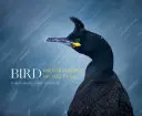 Fotógrafo de aves del año - Bird Photographer of the Year