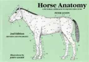 Anatomía del caballo: Un enfoque pictórico de la estructura equina - Horse Anatomy: A Pictorial Approach to Equine Structure