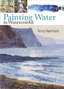 Artista en 30 minutos: Pintar agua con acuarela - 30 Minute Artist: Painting Water in Watercolour