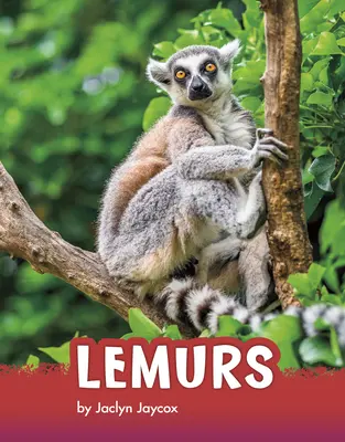 Lémures - Lemurs