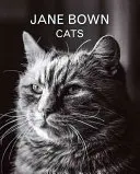 Jane Bown Cats - Jane Bown: Cats