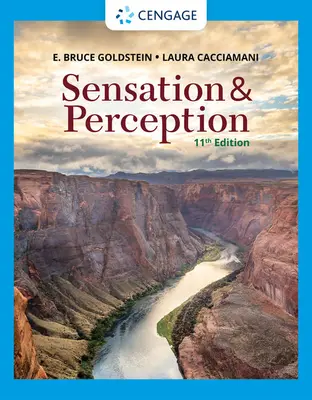 Sensación y percepción - Sensation and Perception