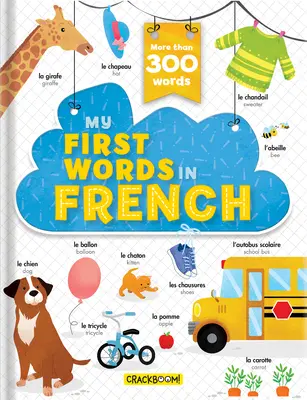 Mis primeras palabras en francés - ¡Más de 200 palabras! - My First Words in French - More Than 200 Words!