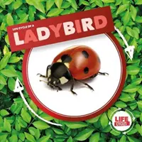 Mariquita - Ladybird