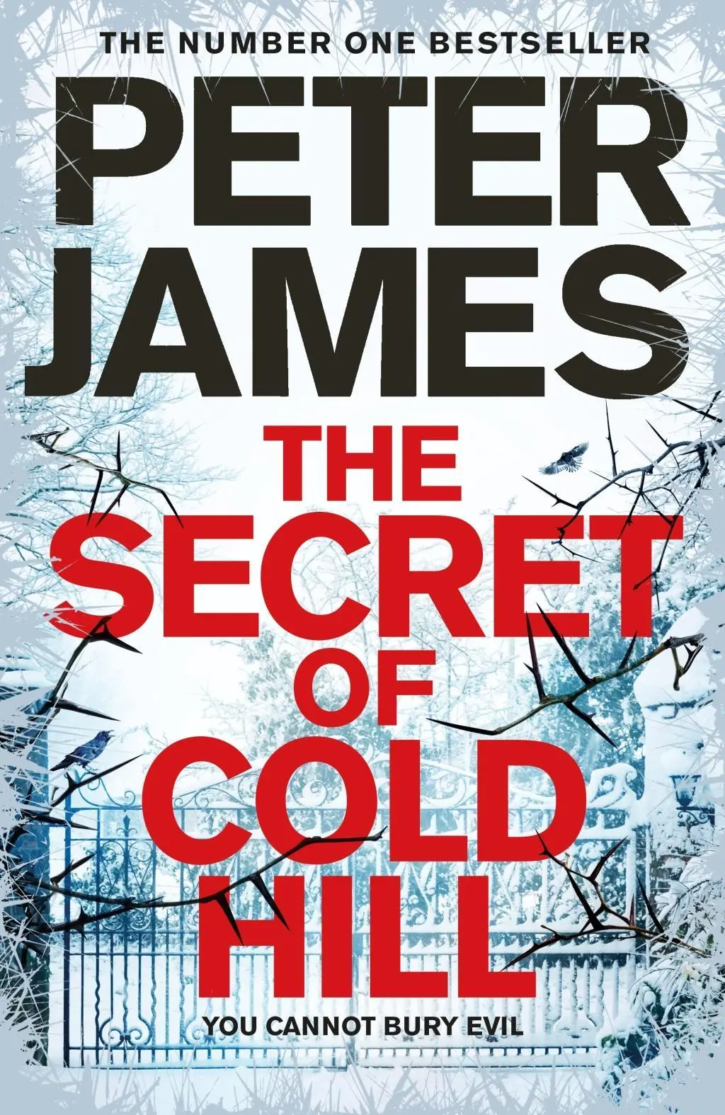 El secreto de Cold Hill - Secret of Cold Hill