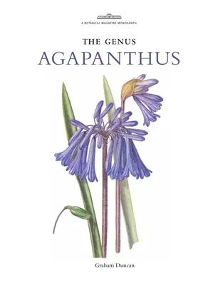 Género Agapanthus - Genus Agapanthus