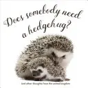 ¿Alguien necesita un abrazo de erizo? - Does Somebody Need a Hedgehug?