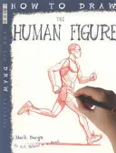 Cómo dibujar la figura humana - How To Draw The Human Figure