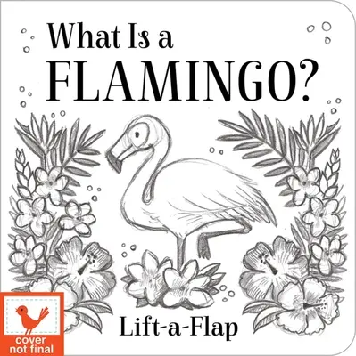 ¿Qué es un flamenco? - What Is a Flamingo?