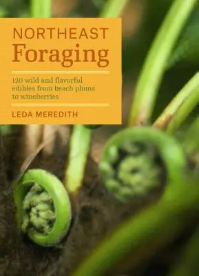 Forrajeo en el noreste: 120 comestibles silvestres y sabrosos, desde ciruelas de playa hasta bayas de vino - Northeast Foraging: 120 Wild and Flavorful Edibles from Beach Plums to Wineberries