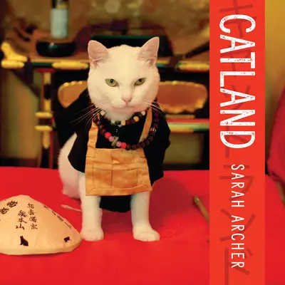 Catland: El poder de la cultura felina en Japón - Catland: The Soft Power of Cat Culture in Japan