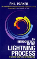 Introducción al proceso del rayo - An Introduction to the Lightning Process