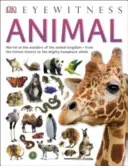 Animales - Animal