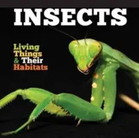 Insectos - Insects