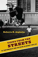 Miradas desde la calle: La transformación de las bandas y la violencia en el South Side de Chicago - Views from the Streets: The Transformation of Gangs and Violence on Chicago's South Side