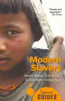 Esclavitud moderna: Guía para principiantes - Modern Slavery: A Beginner's Guide