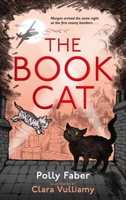 El gato de los libros - The Book Cat